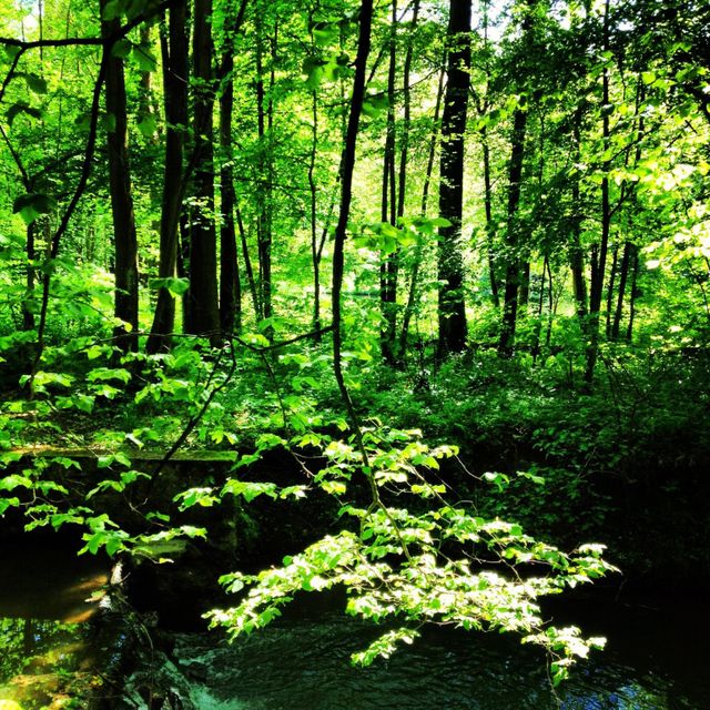 maison à vendre - 28 pièces - 1500.0 m2 - 02 - PICARDIE - Century 21 Alpha Marais