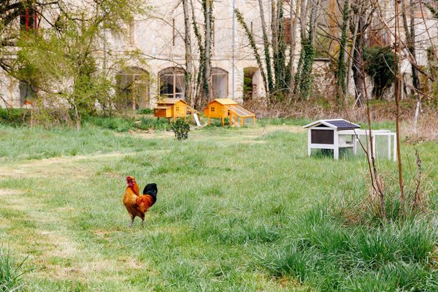 maison à vendre - 28 pièces - 1500.0 m2 - 02 - PICARDIE - Century 21 Alpha Marais