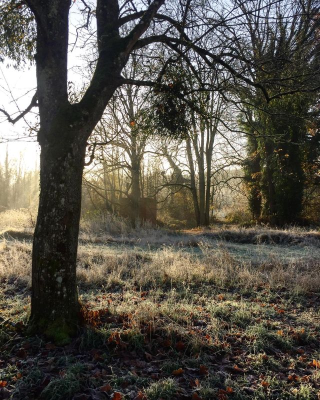 maison à vendre - 28 pièces - 1500.0 m2 - 02 - PICARDIE - Century 21 Alpha Marais