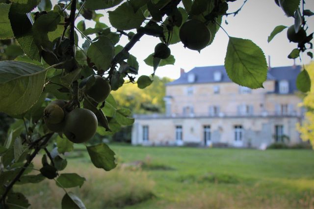 maison à vendre - 28 pièces - 1500.0 m2 - 02 - PICARDIE - Century 21 Alpha Marais