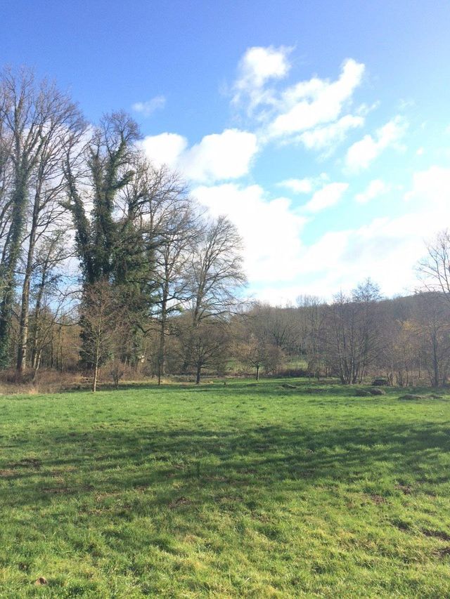 maison à vendre - 28 pièces - 1500.0 m2 - 02 - PICARDIE - Century 21 Alpha Marais