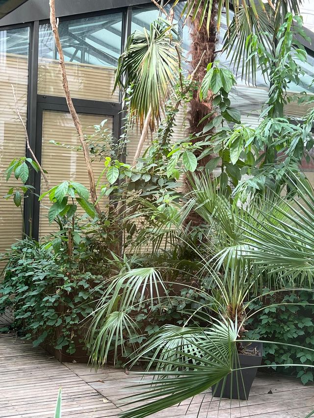 Appartement Atelier d'artiste à vendre - 5 pièces - 174.68 m2 - PARIS - 75002 - ILE-DE-FRANCE - Century 21 Alpha Marais